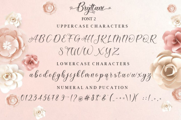 Bryttani Font Poster 11