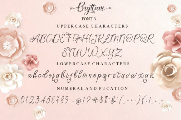 Bryttani Font Poster 12