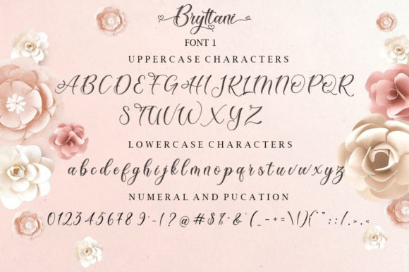 Bryttani Font Poster 9