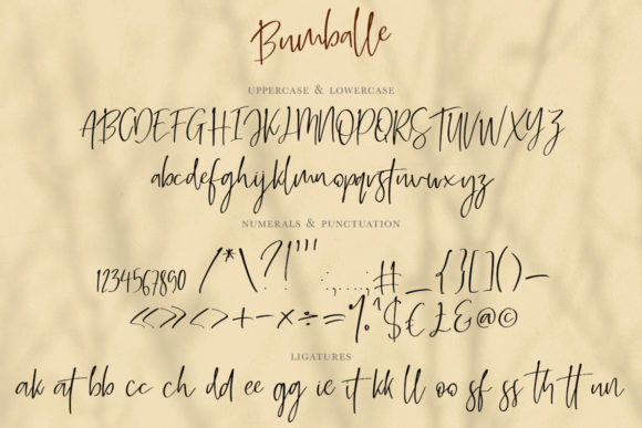 Bumballe Font Poster 8