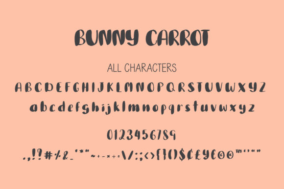 Bunny Carrot Font Poster 3