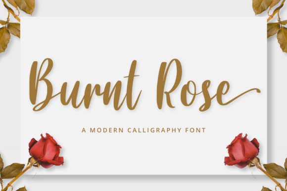 Burnt Rose Font Poster 1