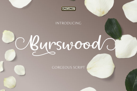 Burswood Font