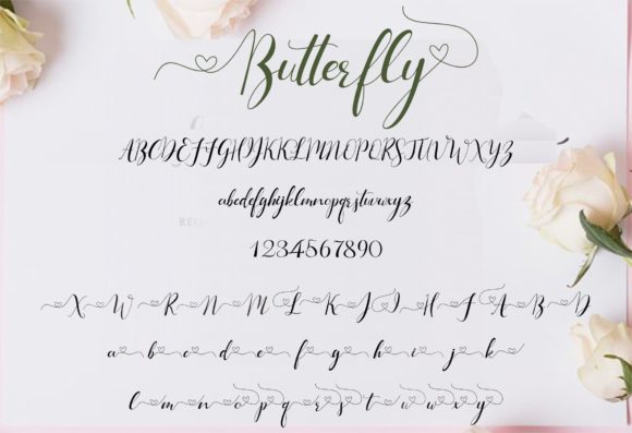 Butterfly Font Poster 6