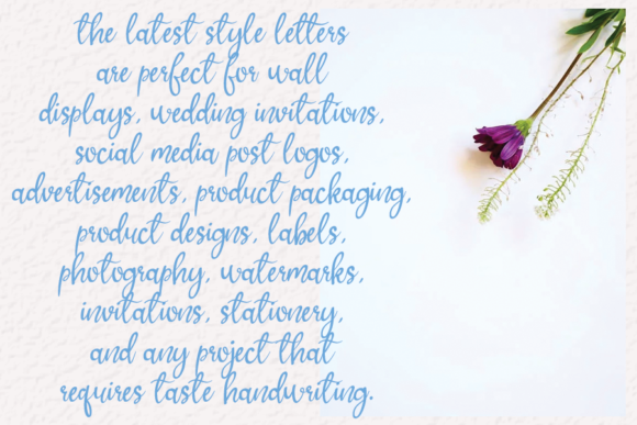 Butterfly Font Poster 3