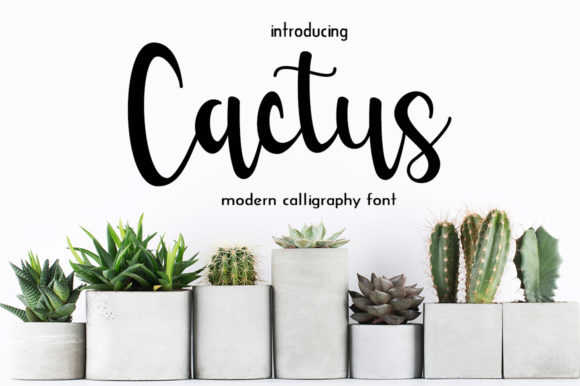 Cactus Font Poster 1