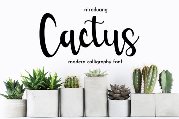 Cactus Font