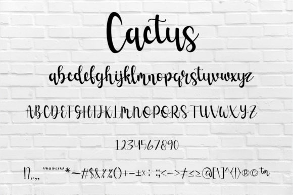 Cactus Font Poster 7