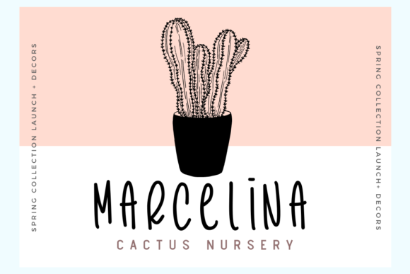 Cactus Story Font Poster 3