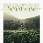 Calathea Font Poster 7
