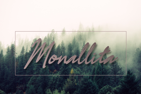 Calmina Font Poster 5