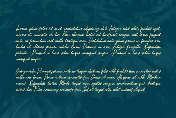 Calmina Font Poster 10