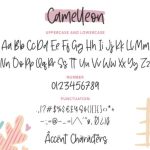 Camelleon Font Poster 6