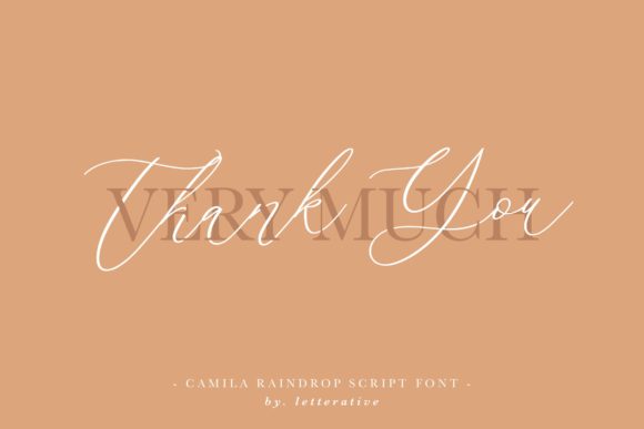 Camila Raindrop Font Poster 7