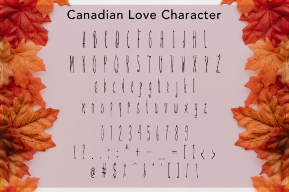 Canadian Love Font Poster 5