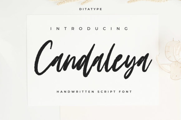 Candaleya Font