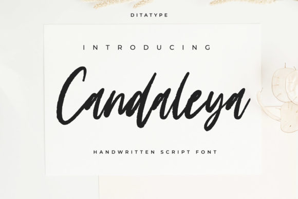 Candaleya Font Poster 1