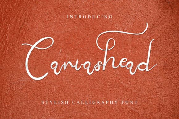Canvashead Font Poster 1