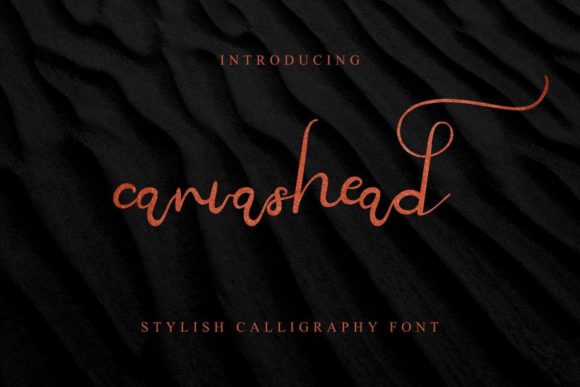 Canvashead Font Poster 2