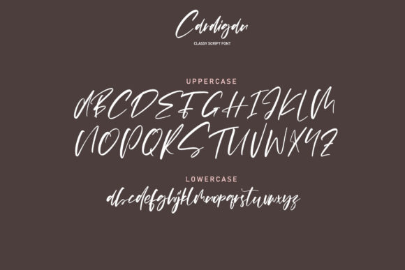 Cardigan Font Poster 7