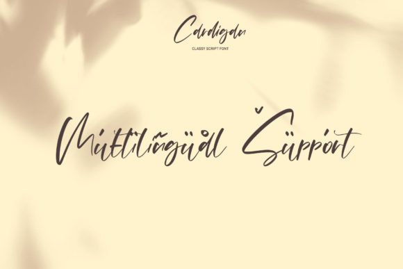 Cardigan Font Poster 9
