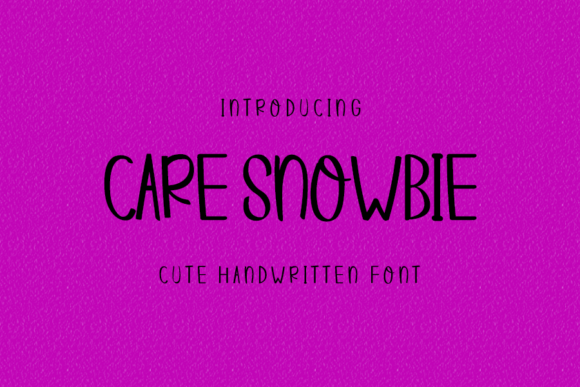 Care Snowbie Font Poster 1