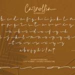 Carnollia Font Poster 15