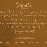 Carnollia Font Poster 15