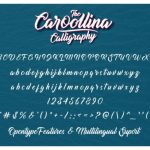 Caroollina Font Poster 6