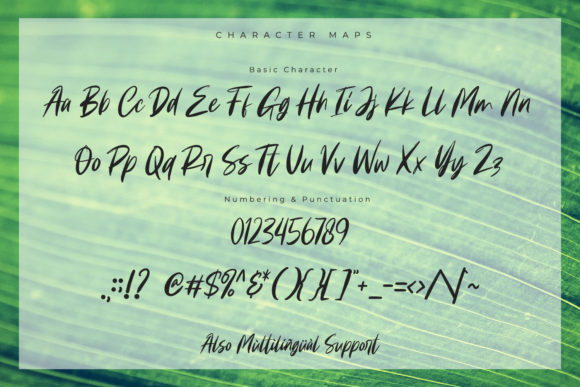 Cartager Font Poster 7