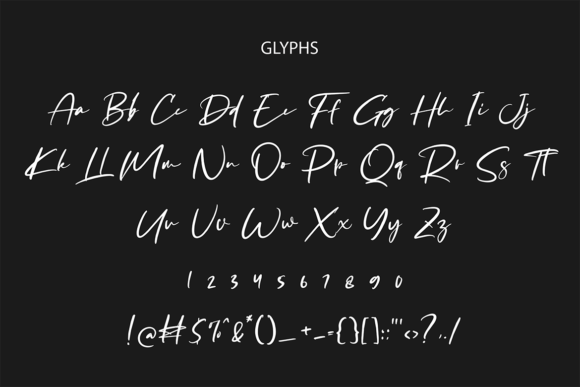 Caselina Font Poster 6