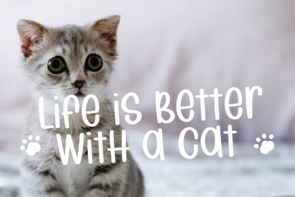 Cat Brothers Font Poster 3