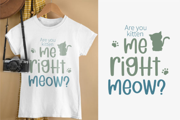 Cat Brothers Font Poster 6