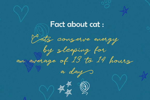 Catlove Font Poster 3