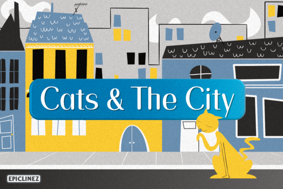 Cats and the City Font Poster 1