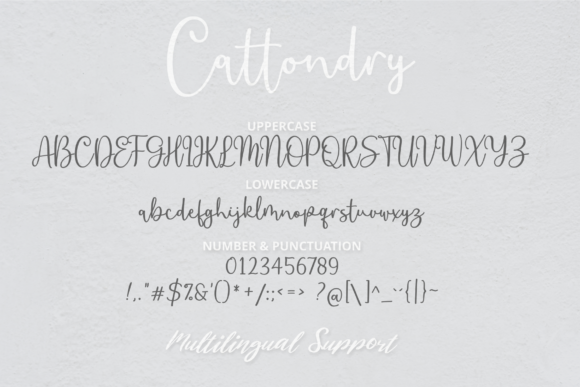 Cattondry Font Poster 4