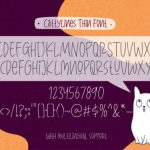 CattyLines Font Poster 2