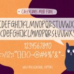 CattyLines Font Poster 3