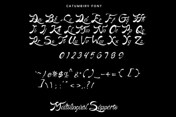 Catumbiry Font Poster 3