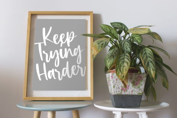 Celosia Golden Font Poster 6