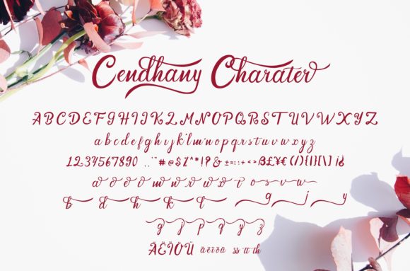 Cendhany Font Poster 9