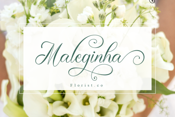 Cerlyneeta Font Poster 3