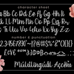 Ceylonia Font Poster 7