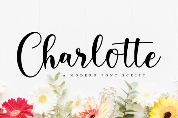 Charlotte Font