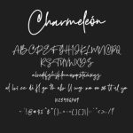 Charmeleon Font Poster 6