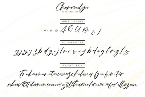 Charmelya Font Poster 6