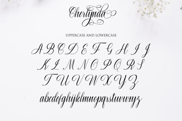 Cherlynda Font Poster 9