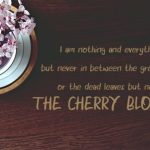 Cherry Blossoms Font Poster 2