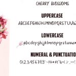 Cherry Blossoms Font Poster 4