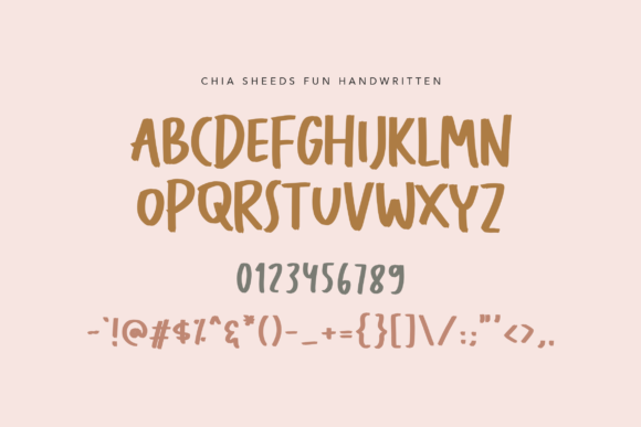 Chia Seeds Font Poster 8